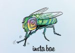 インスタ蠅を探して