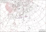 駆け抜けるゼブラのストライプ