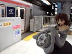 東海に鋲を刻む