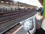 八ヶ岳の麓の高原で鋲刈り
