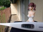 収鋲か、病臥か